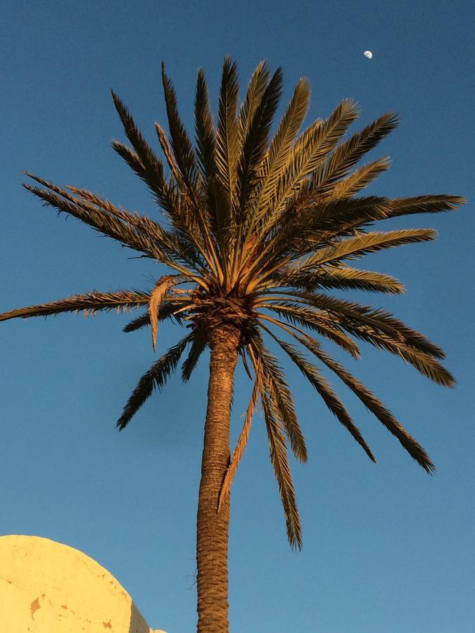 Bed and Breakfast Dar Jasmin Djerba Temlale Exterior foto