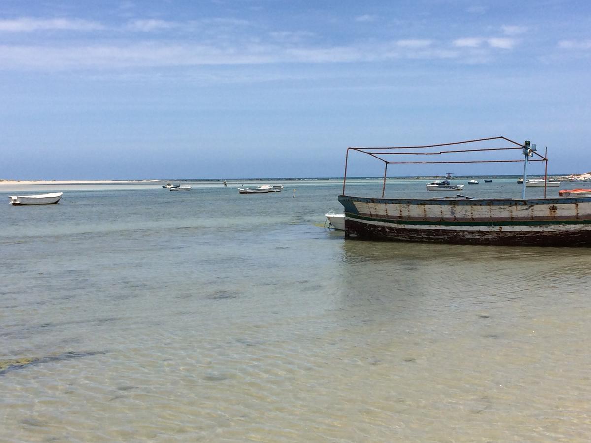 Bed and Breakfast Dar Jasmin Djerba Temlale Exterior foto